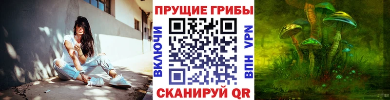 Галлюциногенные грибы GOLDEN TEACHER Купить Егорьевск